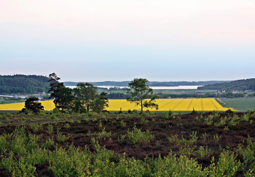 Stadsbild av Halmstad